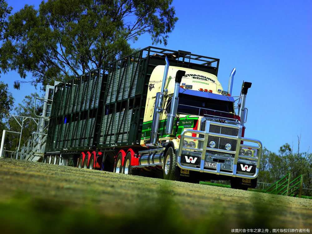 西星4900卡车图片