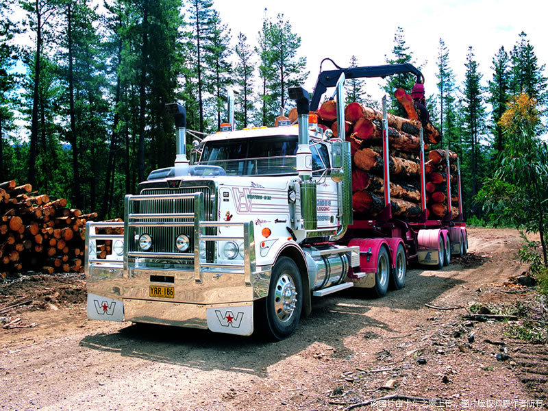 西星4900卡车图片